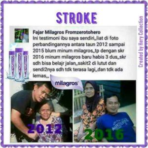 RAJABALI AGENCY INTERNETWORK INDONESIA - LOWOKWARU KOTA MALANG (65141) - stroke-3