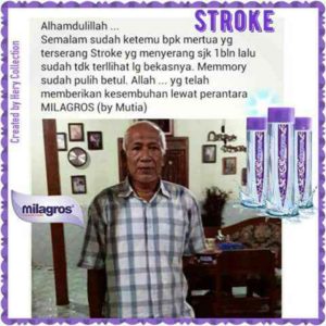 RAJABALI AGENCY INTERNETWORK INDONESIA - LOWOKWARU KOTA MALANG (65141) - stroke-4